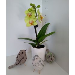 Fugle - strikkede med frit broderi 